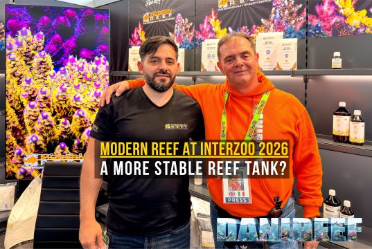Modern Reef at Interzoo 2026: Reef Terraformer and Reef Engine CORE
