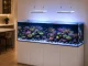 GHL Mitras LX8: nuove plafoniere LED per reef e acquari dolci