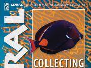 Nuovo Coral Magazine: Achilles, corallis spawning e Raja Ampat