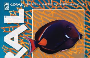 Nuovo Coral Magazine: Achilles, corallis spawning e Raja Ampat