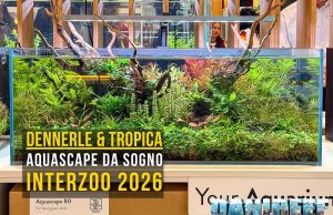 Tropica e Dennerle Plants, Interzoo 2026: aquascaping e piante per acquario