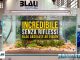 Blau Gran Cubic Absolute AR Vision: l’acquario antiriflesso