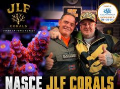 JLF Corals: Jake La Furia e Reef Joker insieme per coralli signature