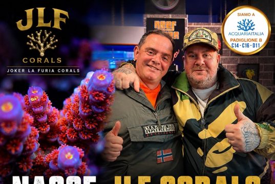 JLF Corals: Jake La Furia e Reef Joker insieme per coralli signature