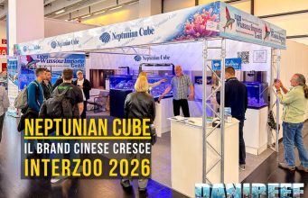 Neptunian Cube a Interzoo 2026: acquari marini, sump e Aipai