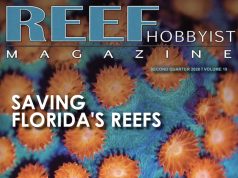 Reef Hobbyist Magazine Q2 2026: paludari marini, malattie dei coralli e aquascaping