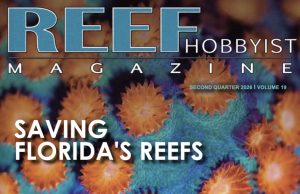 Reef Hobbyist Magazine Q2 2026: paludari marini, malattie dei coralli e aquascaping