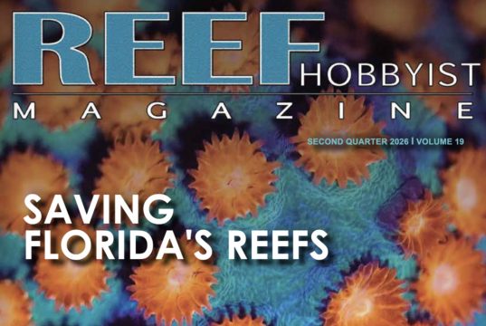 Reef Hobbyist Magazine Q2 2026: paludari marini, malattie dei coralli e aquascaping