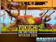 Yokuchi a Interzoo 2026: aquascaping, Wabi-Kusa e terrari