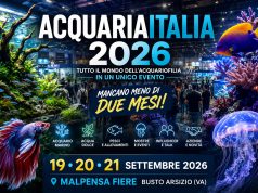 AcquariaItalia 2026: eventi, mostre, espositori e giornata B2B