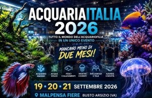 AcquariaItalia 2026: eventi, mostre, espositori e giornata B2B