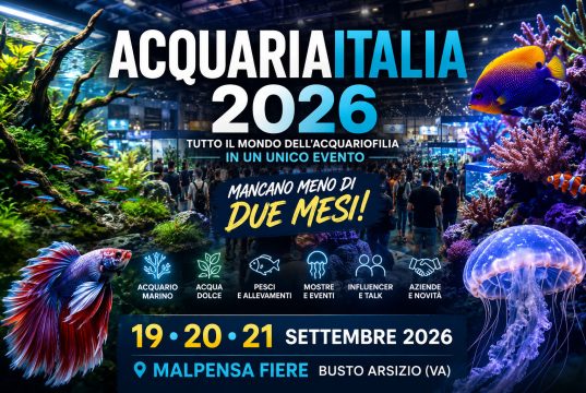 AcquariaItalia 2026: eventi, mostre, espositori e giornata B2B
