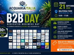 AcquariaItalia B2B 2026: il 21 settembre solo per le aziende