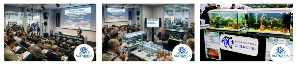 AIC ad AcquariaItalia: il Congresso Nazionale degli appassionati di ciclidi