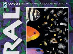 CORAL Magazine Luglio/Agosto 2026: planctivori, plancton e tutte le novità del nuovo numero