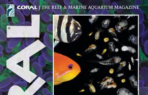 CORAL Magazine Luglio/Agosto 2026: planctivori, plancton e tutte le novità del nuovo numero
