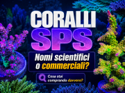 L’evoluzione degli SPS: nomi scientifici e nomi commerciali