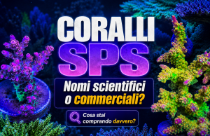 L’evoluzione degli SPS: nomi scientifici e nomi commerciali