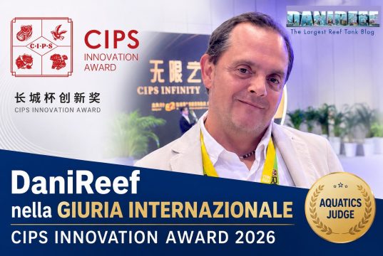 DaniReef nella giuria del CIPS Innovation Award 2026