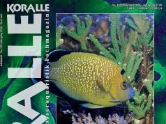 Koralle Magazine 159: Reef Safe, convivenza tra pesci e coralli