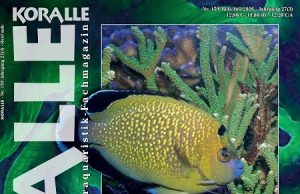 Koralle Magazine 159: Reef Safe, convivenza tra pesci e coralli