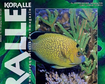 Koralle Magazine 159: Reef Safe, convivenza tra pesci e coralli
