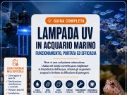 Come funziona la lampada UV in acquario marino