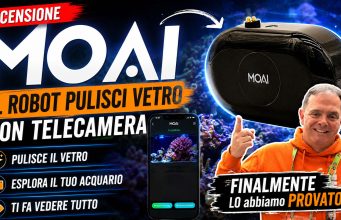 MOAI recensione: il robot pulisci vetri per acquario funziona davvero?