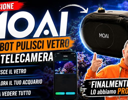 MOAI recensione: il robot pulisci vetri per acquario funziona davvero?