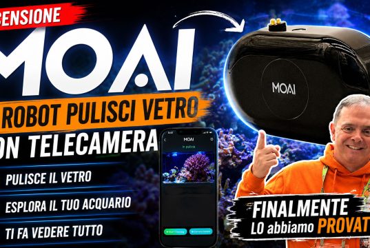 MOAI recensione: il robot pulisci vetri per acquario funziona davvero?