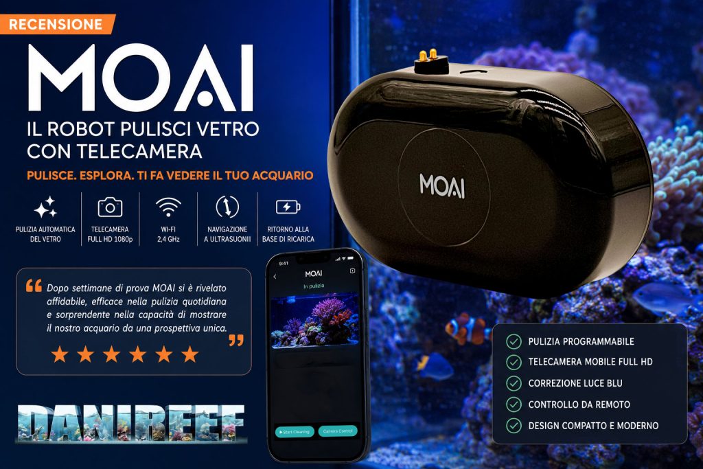 Infografica su MOAI: tutte le caratteristiche in breve