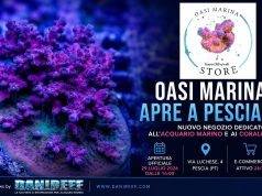 Oasi Marina apre a Pescia: nuovo negozio dedicato ai coralli