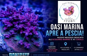 Oasi Marina apre a Pescia: nuovo negozio dedicato ai coralli