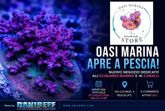 Oasi Marina apre a Pescia: nuovo negozio dedicato ai coralli
