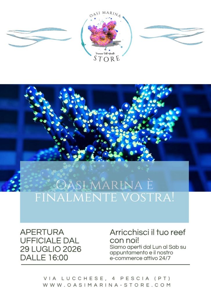 Oasi Marina Store apre a Pescia il 29 luglio 2026