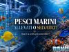 Pesci marini allevati o di cattura? quale scelta è più sostenibile?