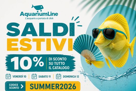 AquariumLine: Saldi Estivi con il 10% di sconto