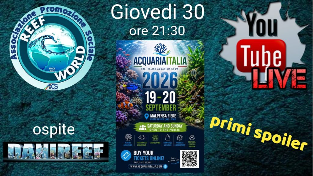 Live AcquariaItalia 2026 con DaniReef e Reef World