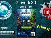 AcquariaItalia 2026: giovedì 30 luglio la live con spoiler della fiera