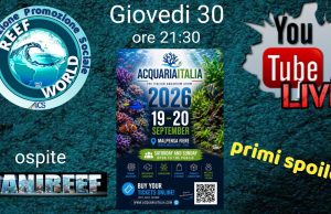 AcquariaItalia 2026: giovedì 30 luglio la live con spoiler della fiera