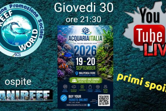 AcquariaItalia 2026: giovedì 30 luglio la live con spoiler della fiera