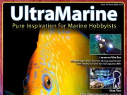 UltraMarine Magazine 118: Genicanthus, raggi UV e reef britannici