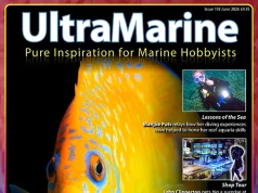 UltraMarine Magazine 118: Genicanthus, raggi UV e reef britannici