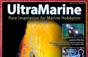 UltraMarine Magazine 118: Genicanthus, raggi UV e reef britannici