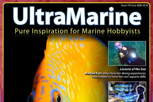 UltraMarine Magazine 118: Genicanthus, raggi UV e reef britannici