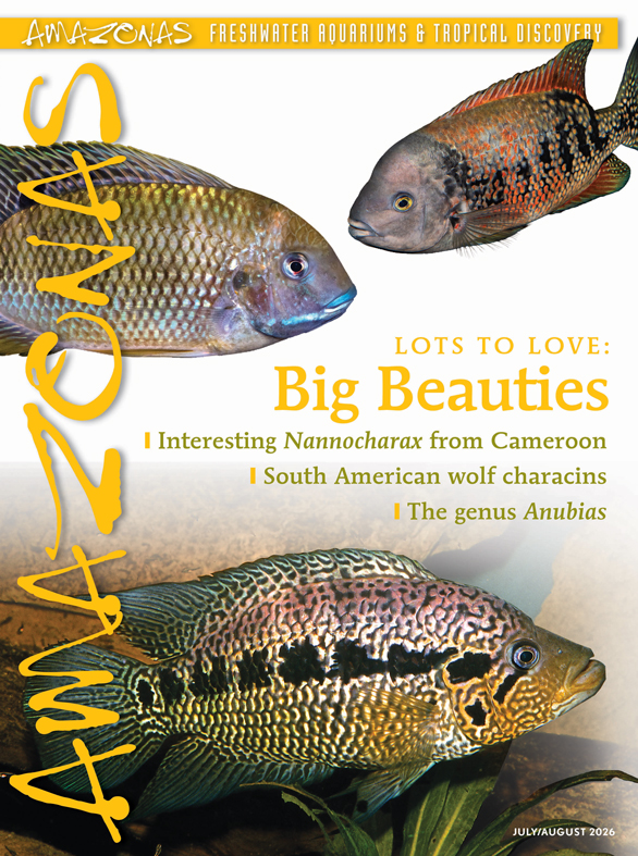 AMAZONAS Magazine luglio agosto 2026