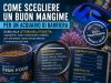 Come scegliere un buon mangime per un acquario di barriera