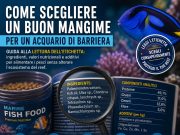 Come scegliere un buon mangime per un acquario di barriera