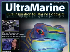 UltraMarine Magazine 119: gobidi, reef e Oceanogràfic