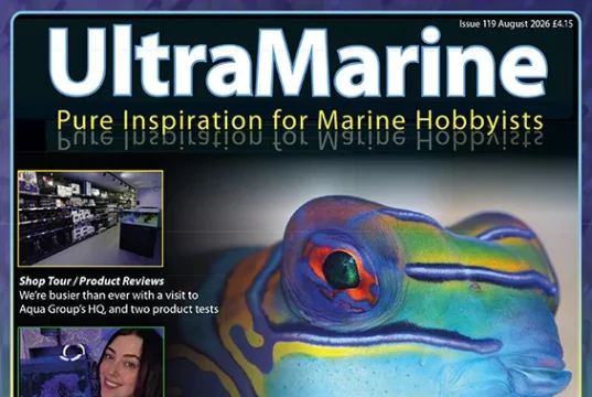 UltraMarine Magazine 119: gobidi, reef e Oceanogràfic